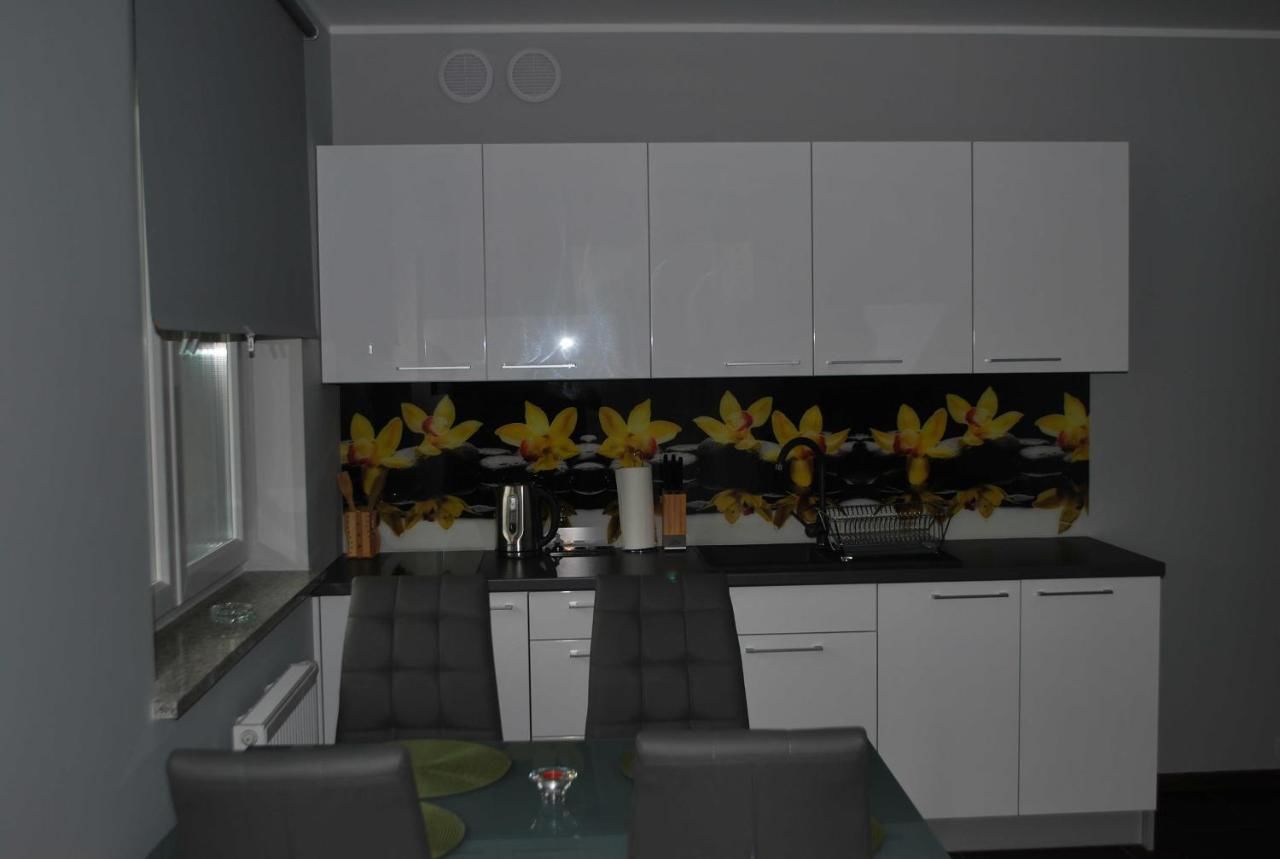 Апартаменты Apartament Zwyciezcow Поляница-Здруй-16